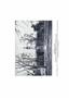 Page: - 237 | Dartmouth Alumni Magazine