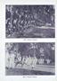 Page: - 317 | Dartmouth Alumni Magazine