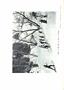Page: - 131 | Dartmouth Alumni Magazine