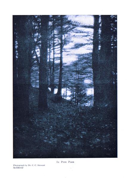 IN PINE PARK