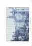 Page: - 499 | Dartmouth Alumni Magazine