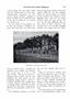 Page: - 743 | Dartmouth Alumni Magazine