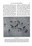 Page: - 265 | Dartmouth Alumni Magazine