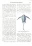 Page: - 503 | Dartmouth Alumni Magazine
