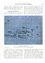 Page: - 167 | Dartmouth Alumni Magazine