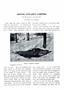 Page: - 336 | Dartmouth Alumni Magazine