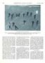 Page: - 110 | Dartmouth Alumni Magazine
