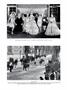 Page: - 311 | Dartmouth Alumni Magazine