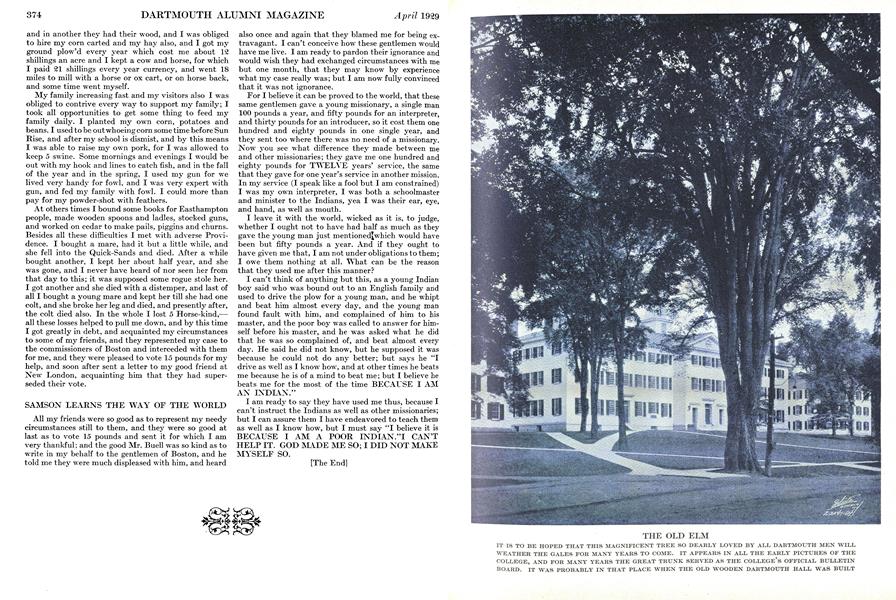 THE OLD ELM