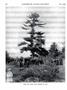 Page: - 518 | Dartmouth Alumni Magazine