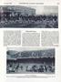 Page: - 213 | Dartmouth Alumni Magazine