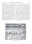 Page: - 389 | Dartmouth Alumni Magazine