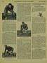 Page: - 124 | Dartmouth Alumni Magazine
