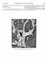 Page: - 399 | Dartmouth Alumni Magazine