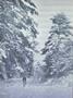 Page: - 232 | Dartmouth Alumni Magazine