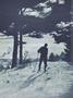Page: - 300 | Dartmouth Alumni Magazine