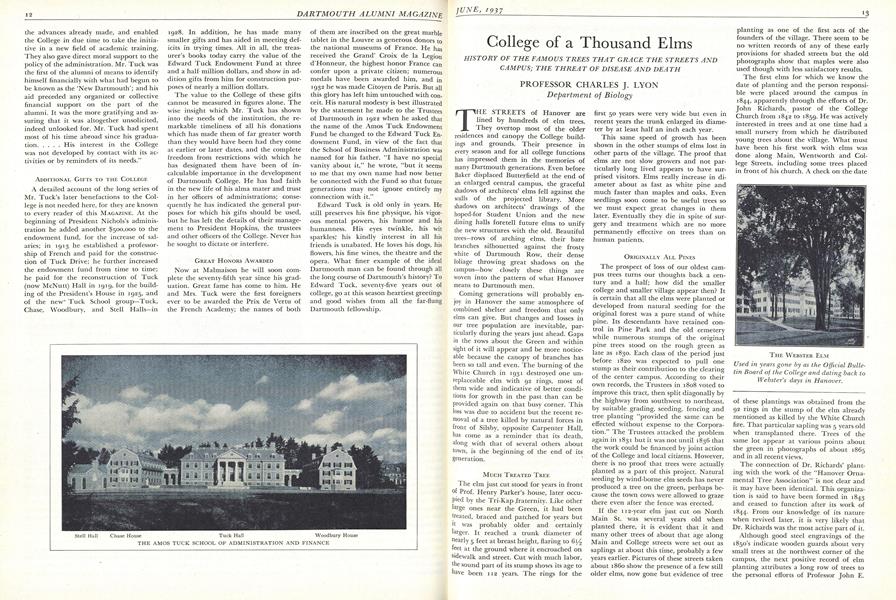 College of a Thousand Elms