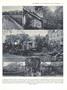 Page: - 10 | Dartmouth Alumni Magazine