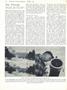 Page: - 28 | Dartmouth Alumni Magazine