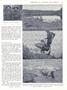 Page: - 27 | Dartmouth Alumni Magazine
