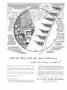 Page: - 4 | Dartmouth Alumni Magazine
