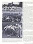 Page: - 30 | Dartmouth Alumni Magazine