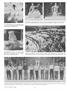 Page: - 21 | Dartmouth Alumni Magazine