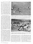 Page: - 31 | Dartmouth Alumni Magazine