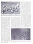 Page: - 31 | Dartmouth Alumni Magazine