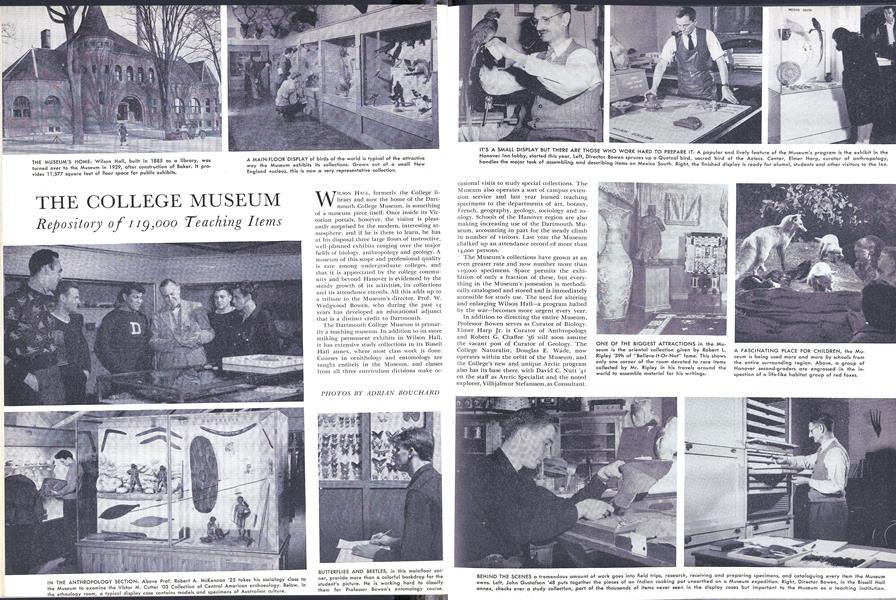 THE COLLEGE MUSEUM