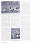 Page: - 19 | Dartmouth Alumni Magazine