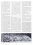 Page: - 39 | Dartmouth Alumni Magazine