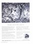 Page: - 5 | Dartmouth Alumni Magazine