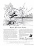 Page: - 2 | Dartmouth Alumni Magazine