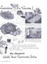 Page: - 13 | Dartmouth Alumni Magazine