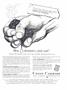 Page: - 89 | Dartmouth Alumni Magazine