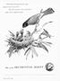 Page: - 1 | Dartmouth Alumni Magazine