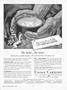 Page: - 7 | Dartmouth Alumni Magazine