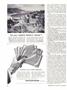 Page: - 10 | Dartmouth Alumni Magazine