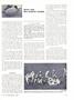 Page: - 33 | Dartmouth Alumni Magazine