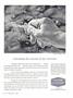 Page: - 1 | Dartmouth Alumni Magazine