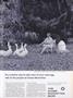Page: - 13 | Dartmouth Alumni Magazine