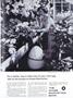 Page: - 81 | Dartmouth Alumni Magazine
