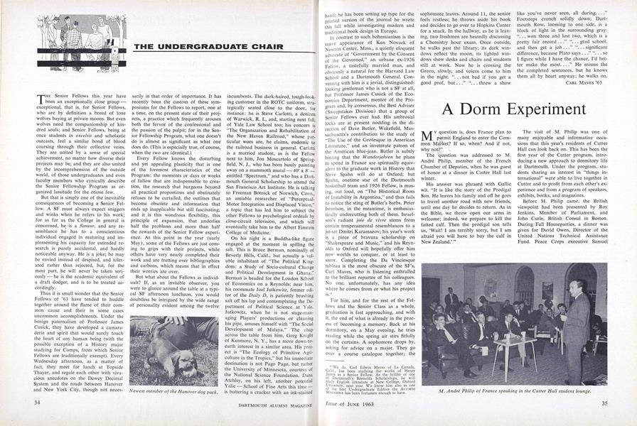 THE UNDERGRADUATE CHAIR