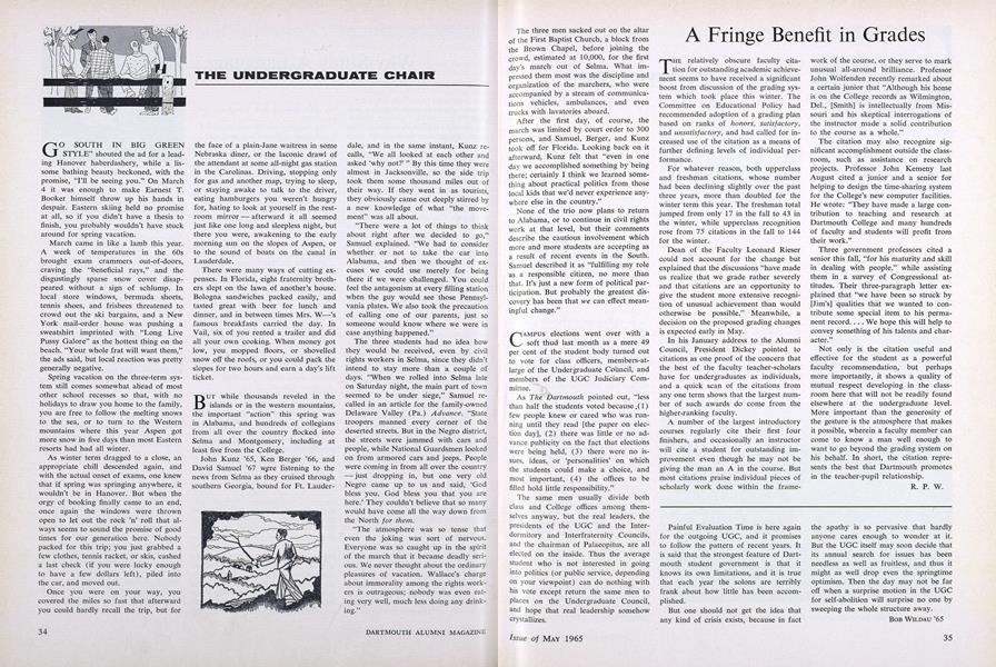THE UNDERGRADUATE CHAIR