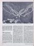 Page: - 76 | Dartmouth Alumni Magazine