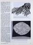 Page: - 33 | Dartmouth Alumni Magazine