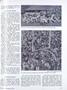 Page: - 37 | Dartmouth Alumni Magazine