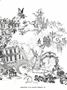 Page: - 49 | Dartmouth Alumni Magazine