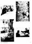 Page: - 37 | Dartmouth Alumni Magazine